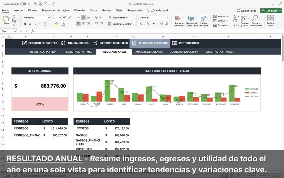 Pestaña Resultado Anual - Resume el año en una sola vista